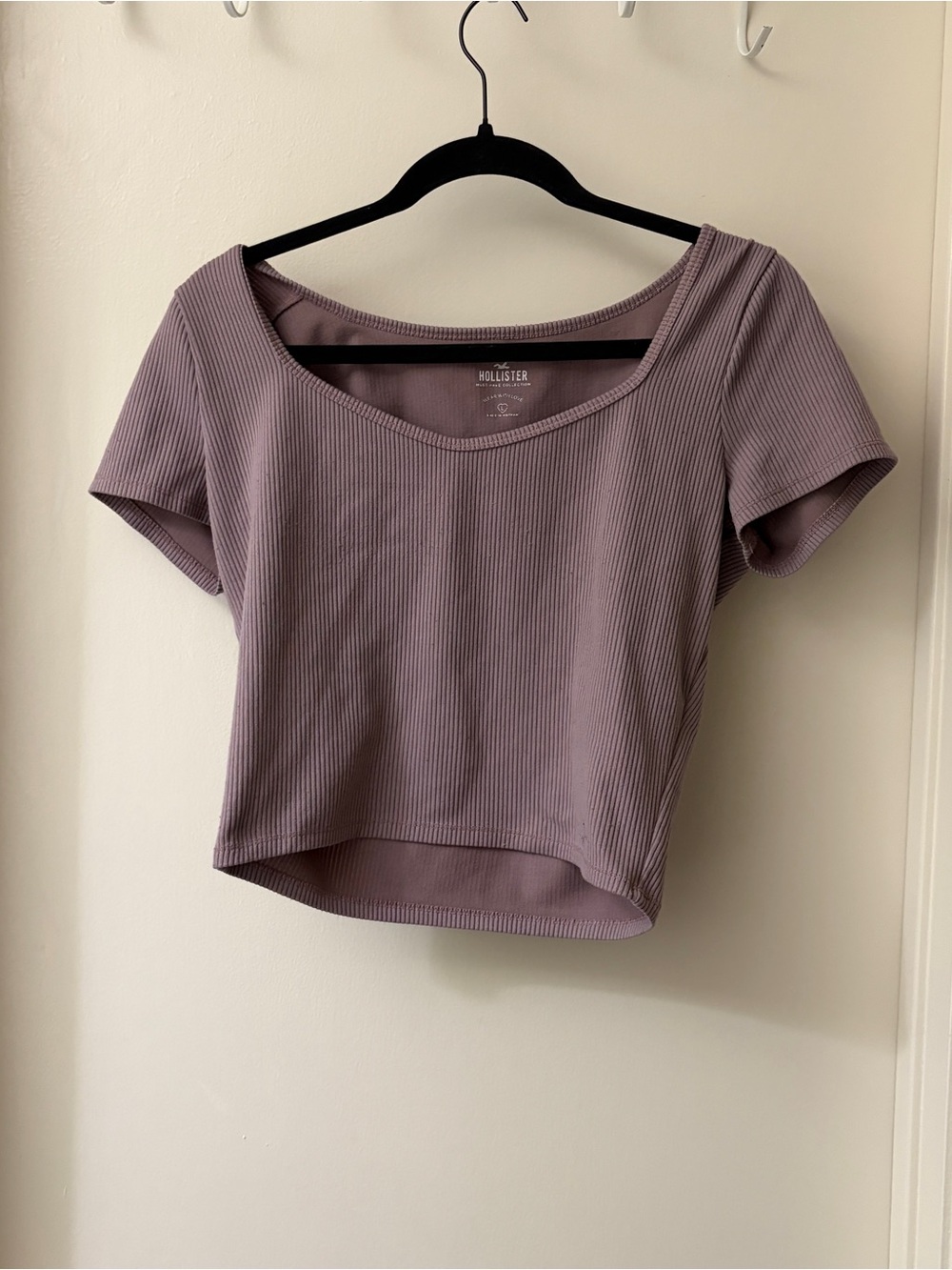 Hollister Mauve Ribbed Scoop-Neck Short Sleeve Crop Top
